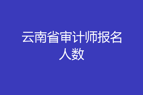 云南省审计师报名人数