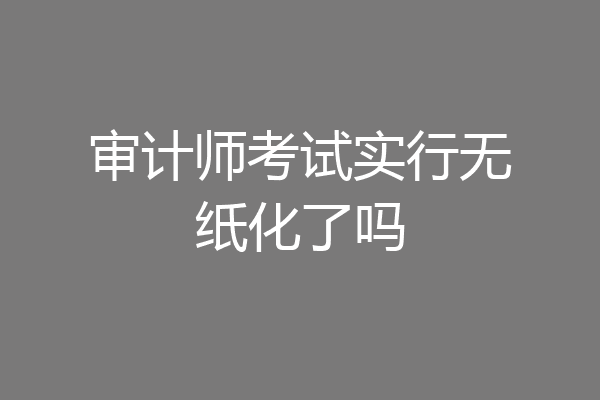 审计师考试实行无纸化了吗