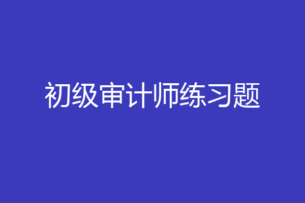 初级审计师练习题