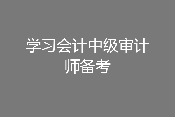 学习会计中级审计师备考