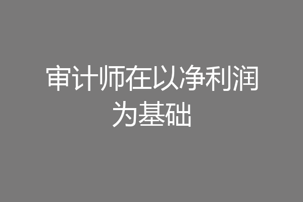 审计师在以净利润为基础