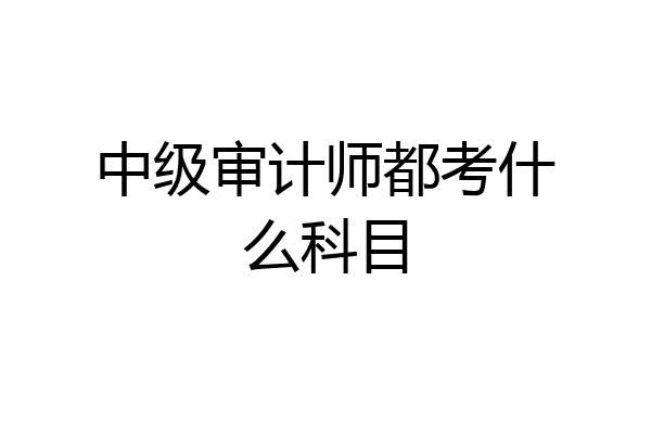 中级审计师都考什么科目