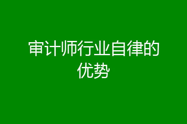 审计师行业自律的优势