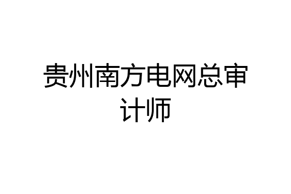 贵州南方电网总审计师