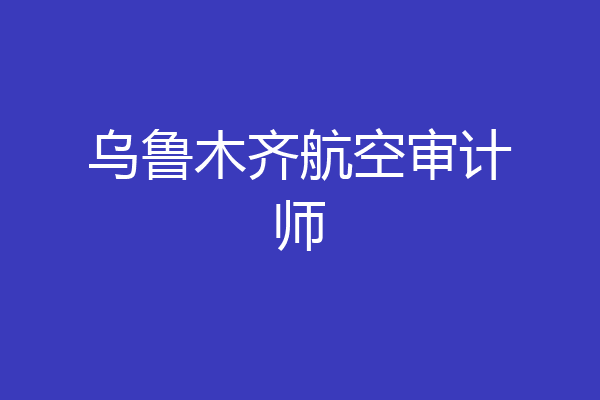 乌鲁木齐航空审计师