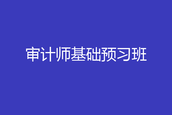 审计师基础预习班