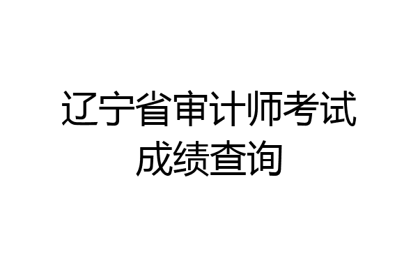 辽宁省审计师考试成绩查询