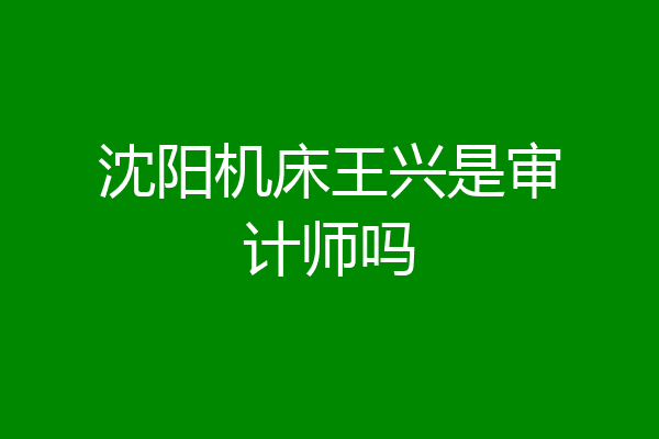 沈阳机床王兴是审计师吗