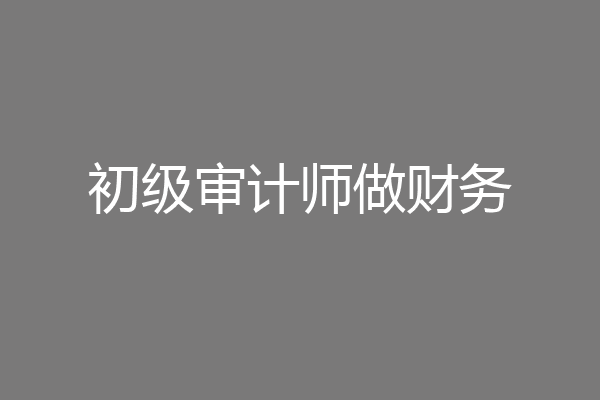 初级审计师做财务