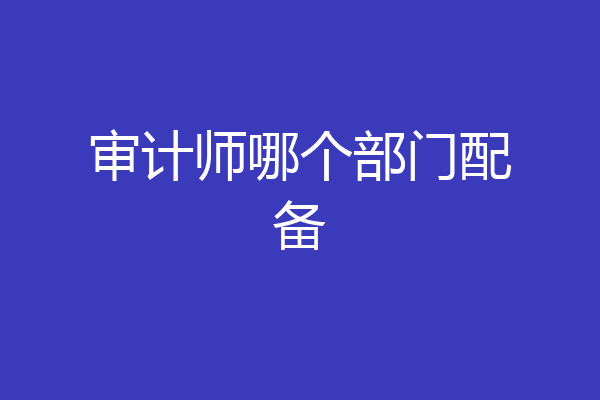 审计师哪个部门配备