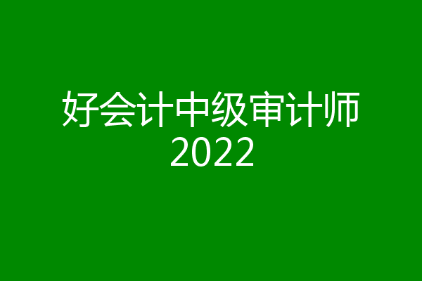 好会计中级审计师2022