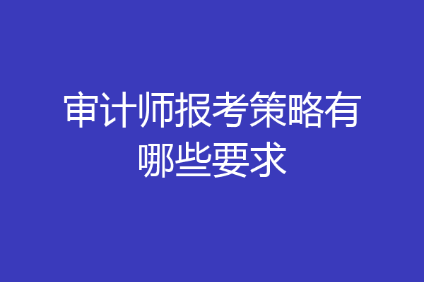 审计师报考策略有哪些要求
