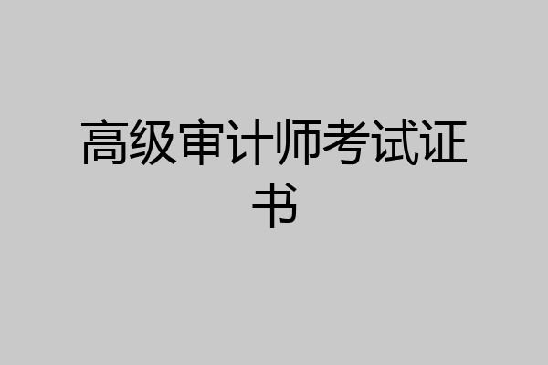 高级审计师考试证书