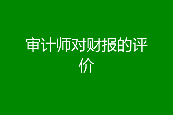 审计师对财报的评价