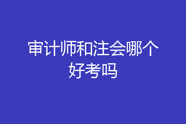 审计师和注会哪个好考吗