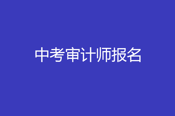 中考审计师报名