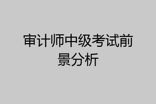 审计师中级考试前景分析