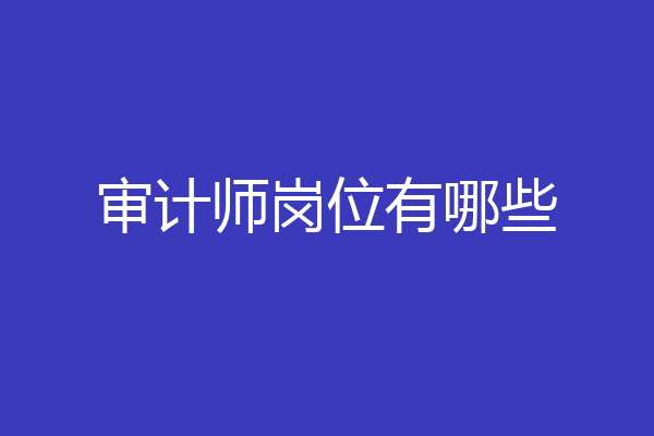 审计师岗位有哪些