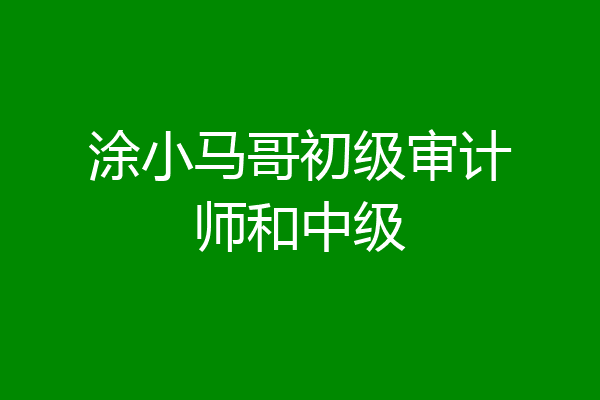 涂小马哥初级审计师和中级