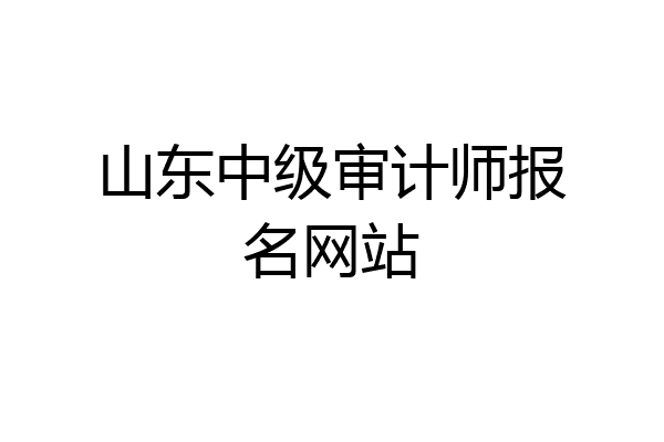 山东中级审计师报名网站
