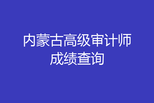 内蒙古高级审计师成绩查询