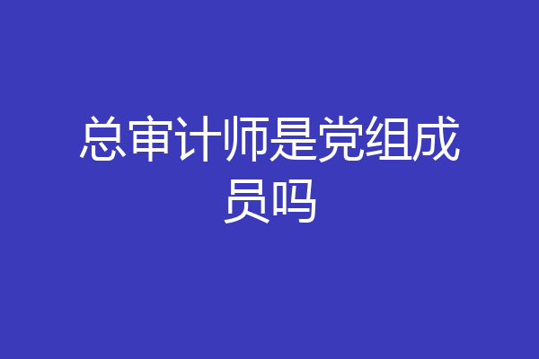 总审计师是党组成员吗