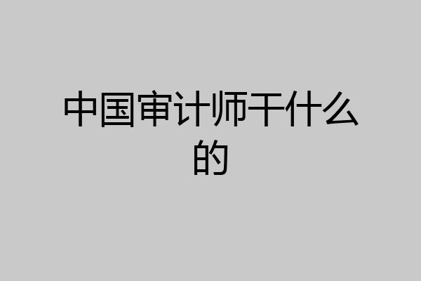 中国审计师干什么的