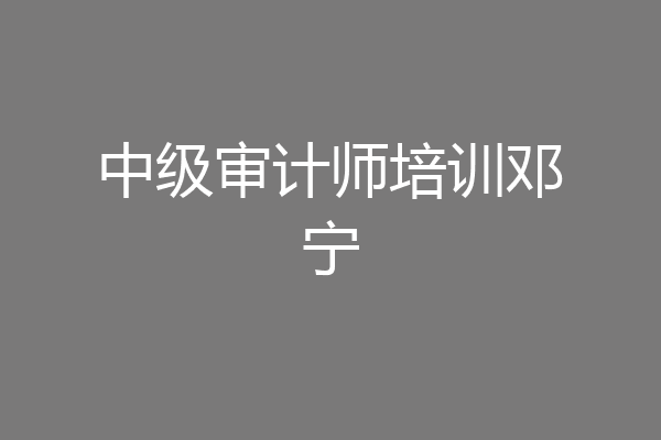 中级审计师培训邓宁