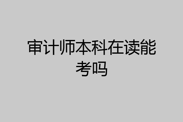 审计师本科在读能考吗