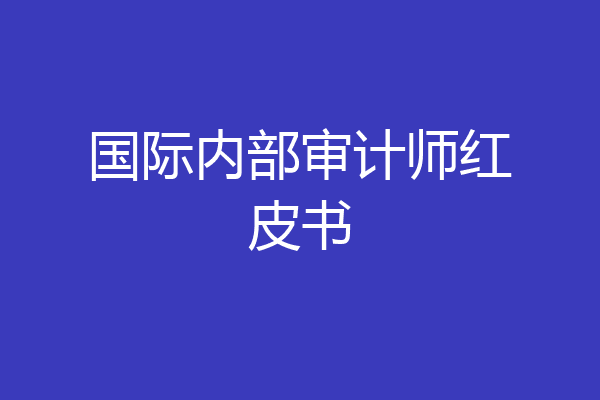 国际内部审计师红皮书