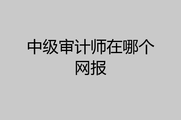 中级审计师在哪个网报