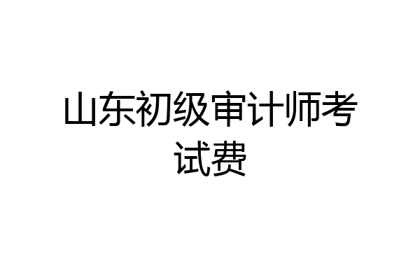 山东初级审计师考试费