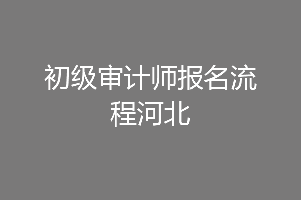 初级审计师报名流程河北