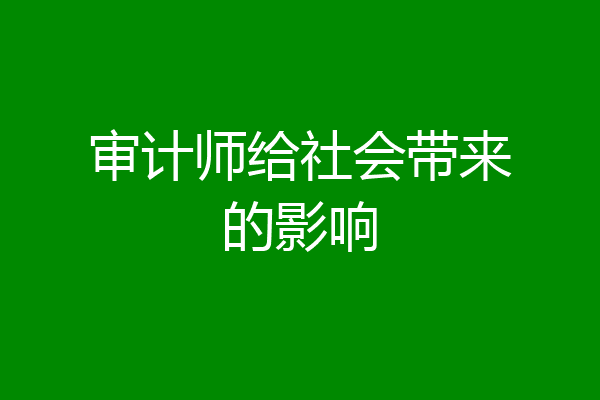 审计师给社会带来的影响