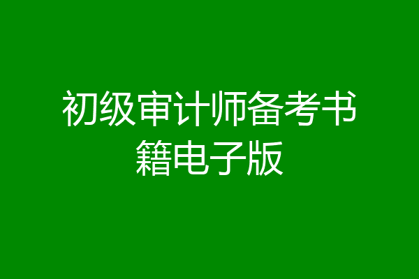 初级审计师备考书籍电子版