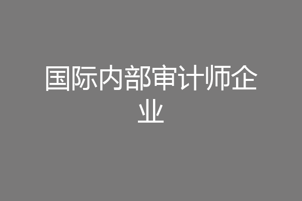 国际内部审计师企业