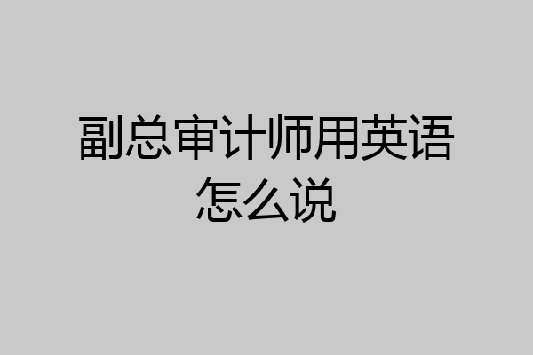 副总审计师用英语怎么说