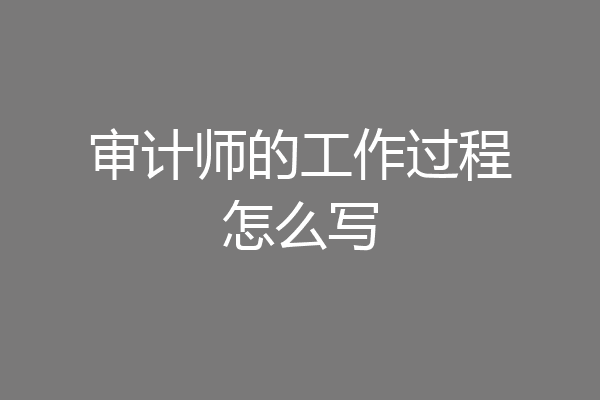 审计师的工作过程怎么写