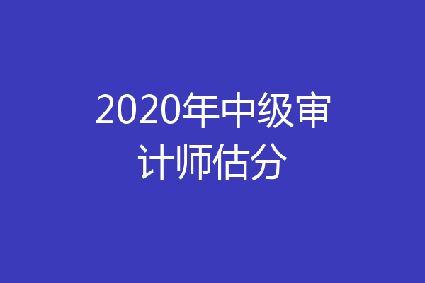 2020年中级审计师估分