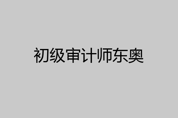 初级审计师东奥
