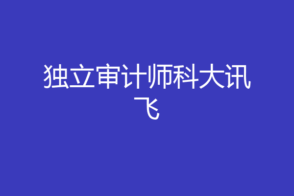 独立审计师科大讯飞