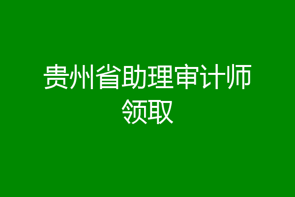 贵州省助理审计师领取