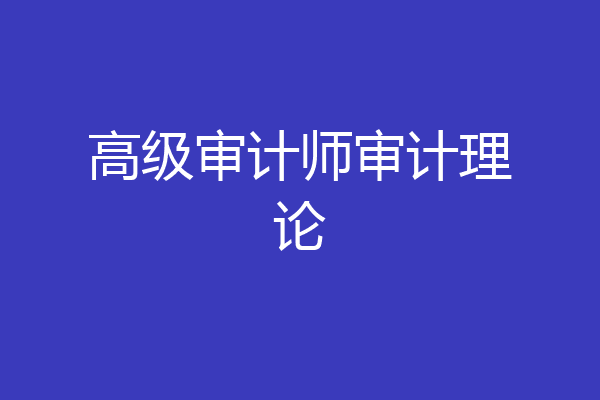 高级审计师审计理论