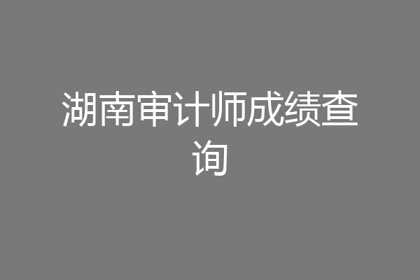 湖南审计师成绩查询
