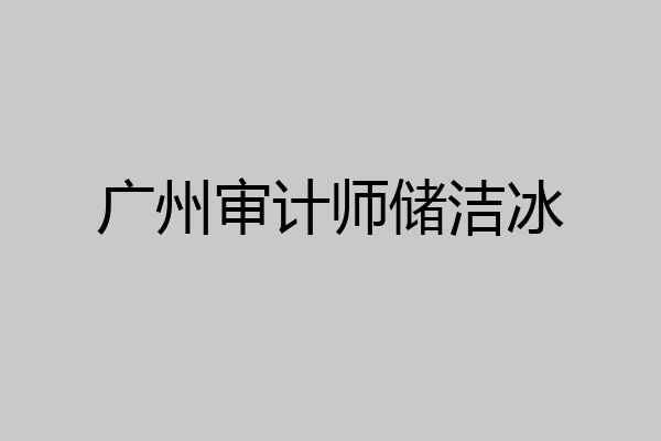 广州审计师储洁冰