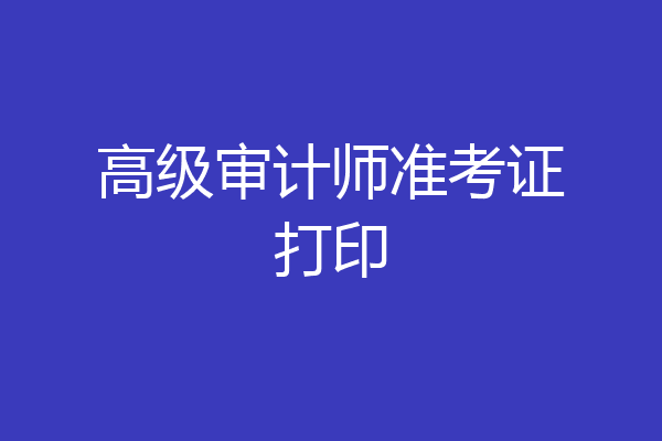 高级审计师准考证打印