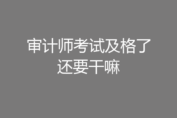 审计师考试及格了还要干嘛