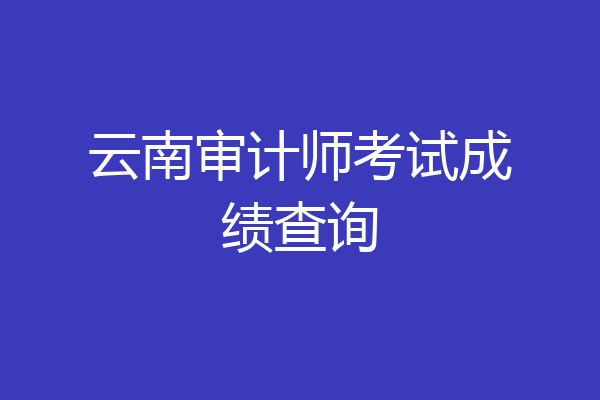 云南审计师考试成绩查询