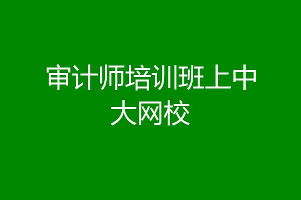 审计师培训班上中大网校