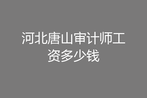 河北唐山审计师工资多少钱